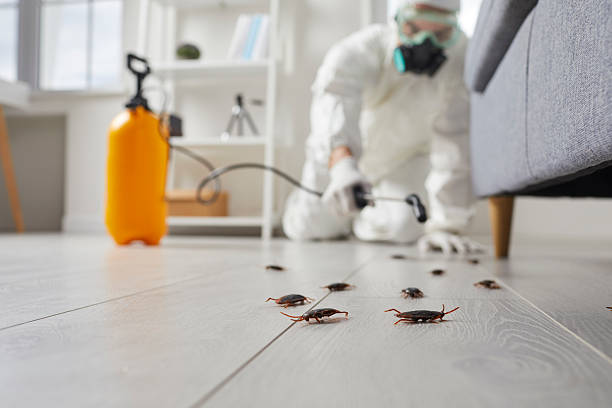 Trusted Emergency Pest Control service in Crozet, VA - Nex Pest Control