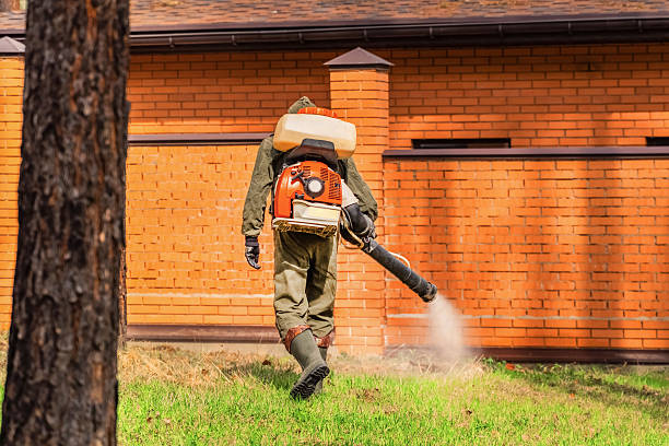 Trusted Termite Control service in Crozet, VA - Nex Pest Control